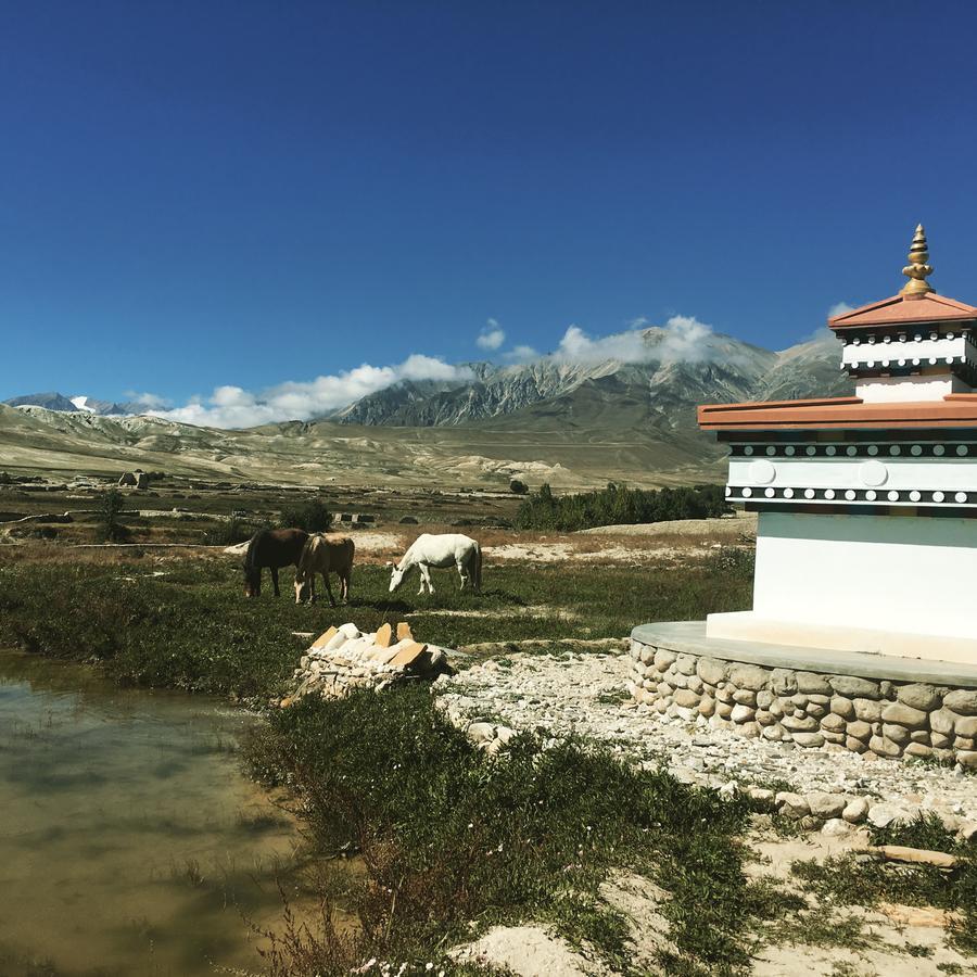 Royal Mustang Resort Nambo Экстерьер фото